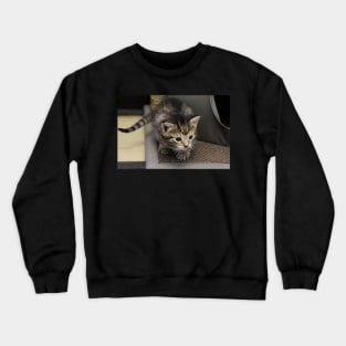 25 Days Big Crewneck Sweatshirt